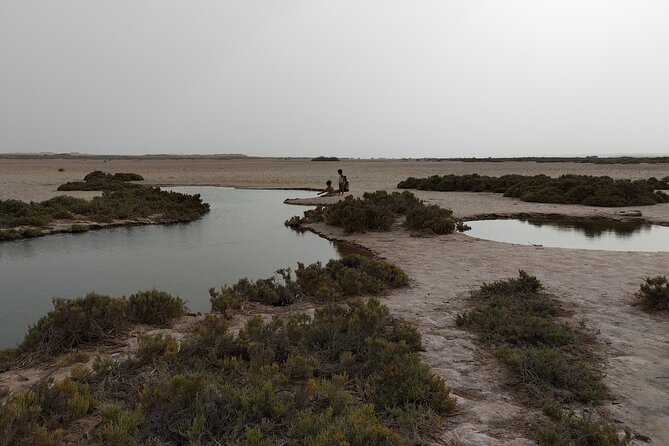 Discover the unusual sites of Dakhla in a 4x4 with a local guide - 4x4 with a local guide: how you’ll spend your day