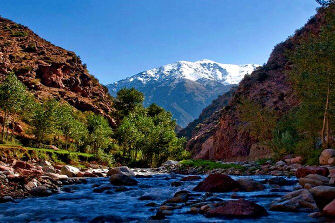 Discovering Ourika Valley and Atlas Mountains with a Local Guide - Berber village stops: the culture piece you don’t want to miss