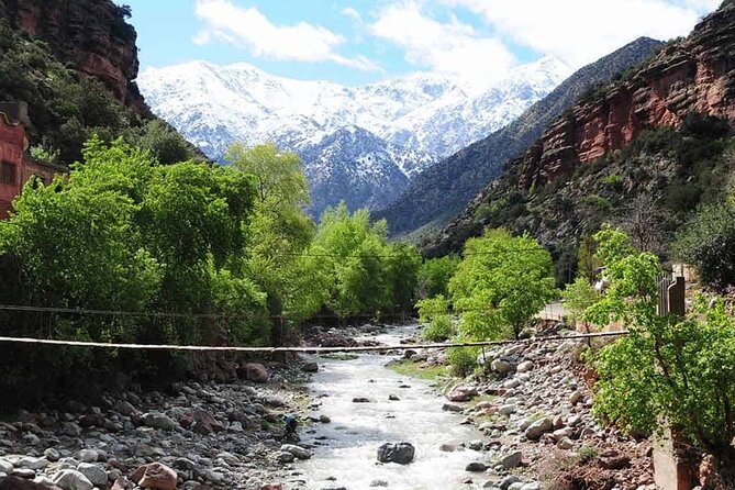 Discovering Ourika Valley and Atlas Mountains with a Local Guide - Viewpoints and argan stops: good breaks, smart spending