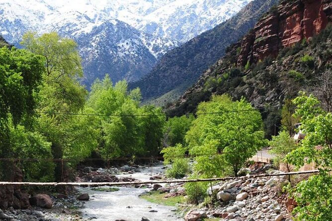 Discovering Ourika Valley and Atlas Mountains with a Local Guide - Lunch by the river: how to choose well when it’s not included