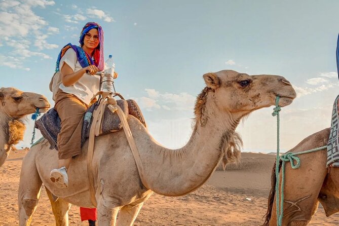 Discovering the 3 days trip to desert (merzouga trip from marrakech) - Dades Gorges Overnight: Why This Day Feels Like a Morocco Crash Course