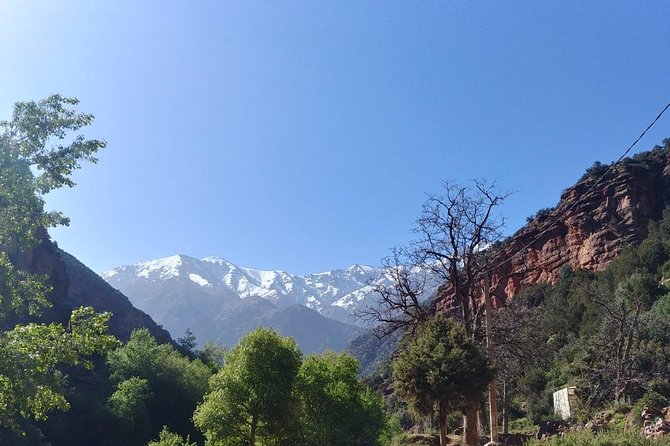 Discovering the best valley in atlas mountains and be inside the Berber culture. - Should You Book This Ourika Valley Day Trip?