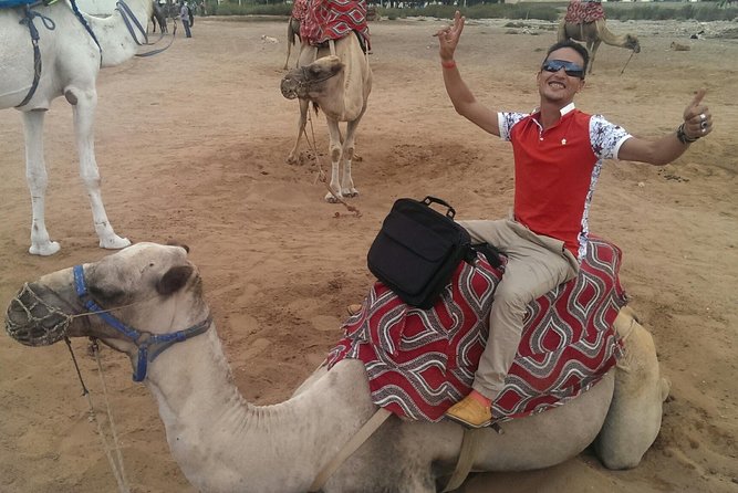 Dromedary Safari: 2 hours - A two-hour camel ride that mixes nature and landmark time
