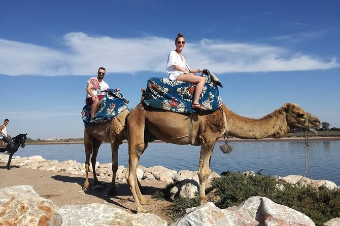 Dromedary Safari: 2 hours - Price and logistics: how value really works at $33.14