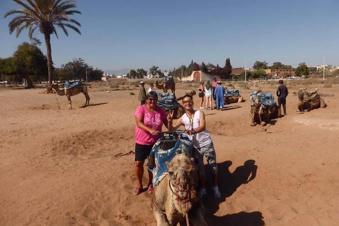 Dromedary Safari: 2 hours - The Flamingos river stop: a themed endpoint with real breathing room