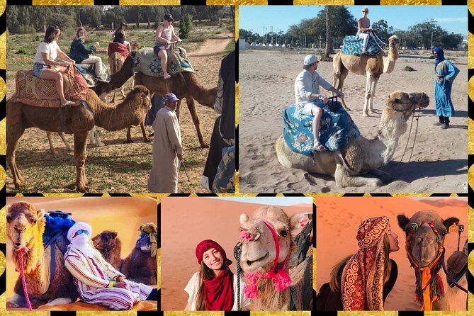 Dromedary Safari: 2 hours - Passing the Great Royal Palace of Agadir on camelback