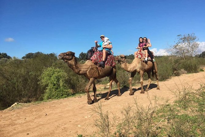 Dromedary Safari: 2 hours - What the 2-hour timing really feels like
