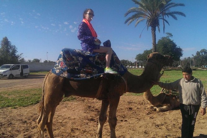 Dromedary Safari: 2 hours - National Park of Souss Massa: what to expect on the camel route