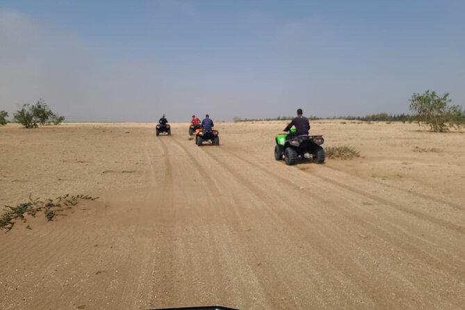 Dunes Quad or Buggy Tour In Agadir - Tifnit beach dunes: the big sand moment