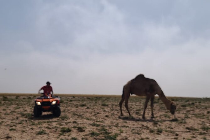 Dunes Quad or Buggy Tour In Agadir - Who should book this buggy tour?