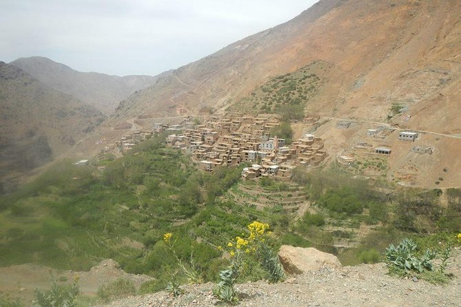 E-bike day tour Atlas Mountains from Marrakech - Group size, guide support, and the ride pace you’ll feel