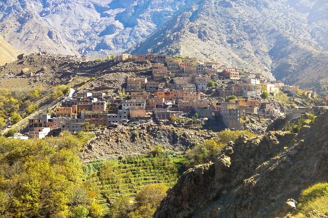 E-Bike Day Trip From Marrakech To the Atlas Mountains - Price and value: is $243.91 per person a fair deal?