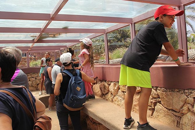 Effortless Agadir Crocoparc Ticket and Transfer Service - Botanical paths that turn reptiles into a full park day