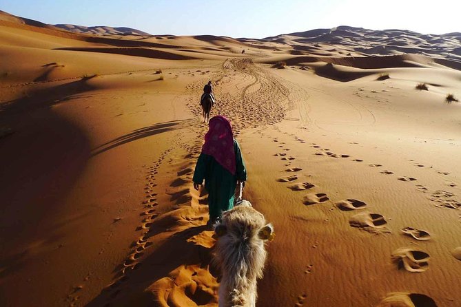 El Borj Desert Tour from Agadir - 2 Days - A real desert overnight from Agadir, not a rushed day trip