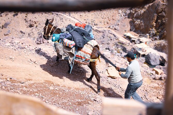 Elite Experience Atlas Mountains Day Trekking - A Long Day in the High Atlas From Marrakech to Imlil