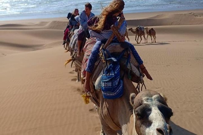 EN PETIT GROUPE vers ESSAOUIRA depuis MARRAKECH - Portuguese Ramparts Views and Medina Alleys: My Best Strategy for No-Regret Wandering