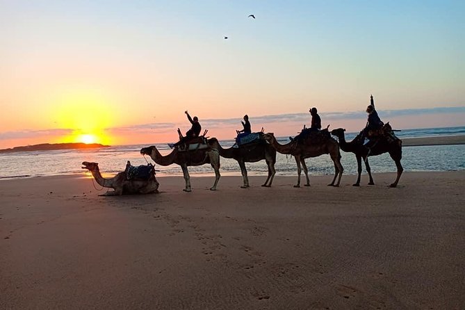 EN PETIT GROUPE vers ESSAOUIRA depuis MARRAKECH - Skala and the UNESCO Medina: What You Can Actually Do in 4 Hours