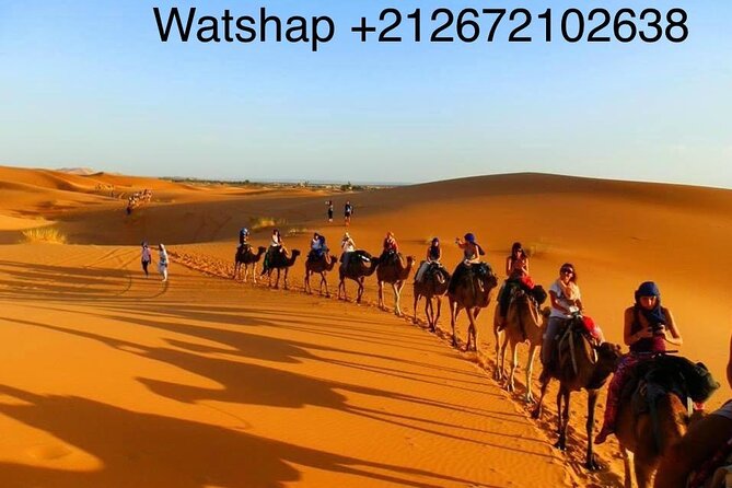 Enjoy camp 1 night .Camel.sunset sunrise drums Quad Sunboard - Private Berber Tents: Sleep Under Stars Without the Chaos