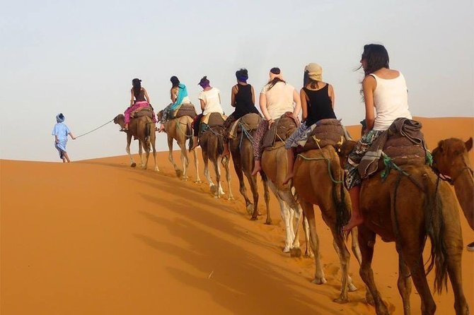 Enjoy Luxury camp 1 nights .camel Drums sandboarding.QUADS - Sandboarding at camp: the fun part you’ll remember longer than you expect