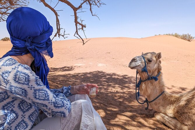 Erg Chigaga Desert Tour from Mhamid by 4x4 Morocco Sahara dunes - The Berber tent overnight: what comfort and hygiene are like