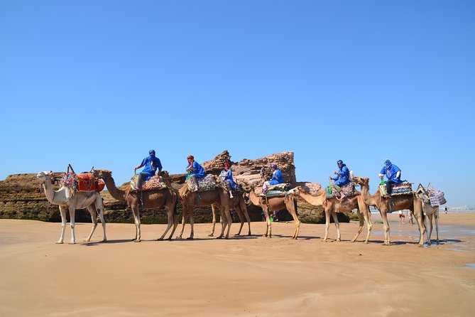 Essaouira: 1/2 Day Camel ride with meal. - A short half-day in Essaouira with a big payoff