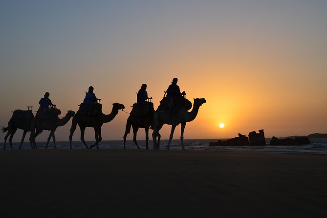 Essaouira: 1/2 Day Camel ride with meal. - Starting at Parking Bab Marrakech: where the day begins