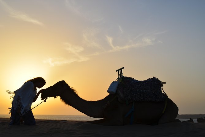 Essaouira: 1/2 Day Camel ride with meal. - Guided explanations that make the scenery click