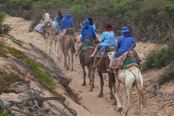 Essaouira 1 hour discovery ride on the back of a camel - The One-Hour Route: What You’ll Actually See