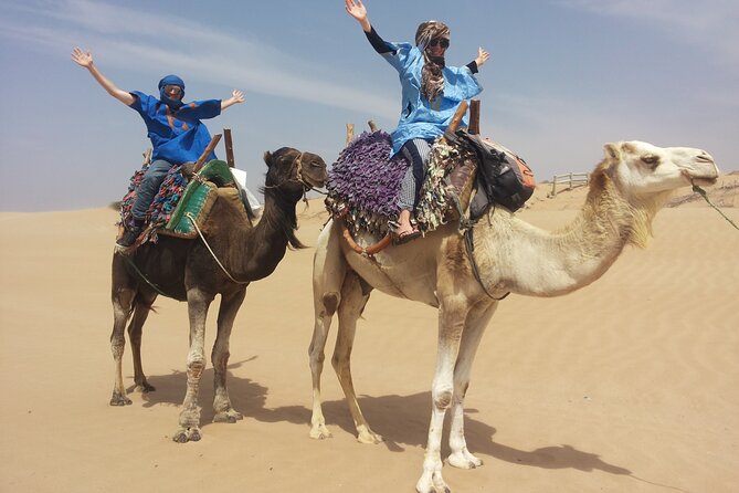 Essaouira 1 hour discovery ride on the back of a camel - Wild Beaches: Ocean Air and That Classic Essaouira Feeling