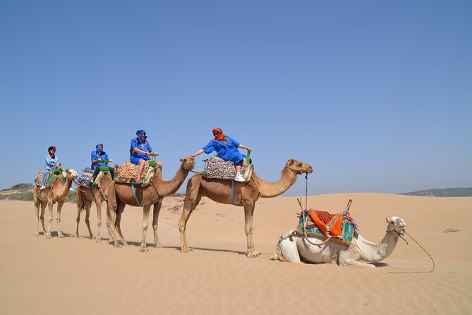 Essaouira 1 hour discovery ride on the back of a camel - The Portuguese Borj: A Fort Feel and a Photo Magnet