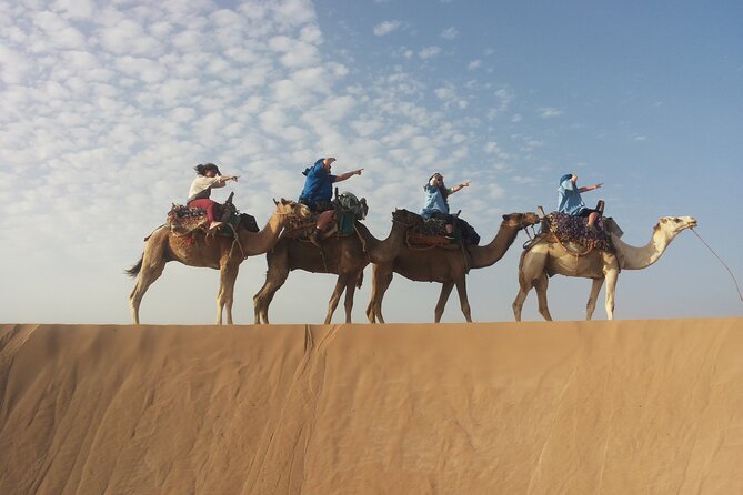 Essaouira 1 hour discovery ride on the back of a camel - Price and Value: Is $23.23 Worth It?