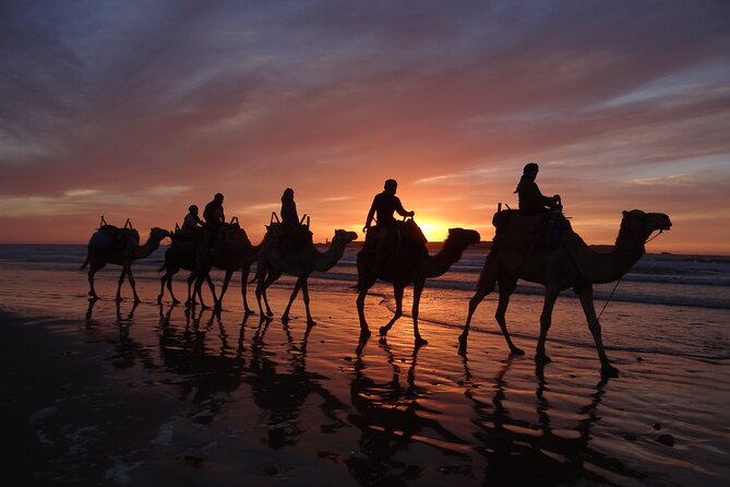 Essaouira 1 hour discovery ride on the back of a camel - Mustafa’s Camel Skills and the Photographer Advantage