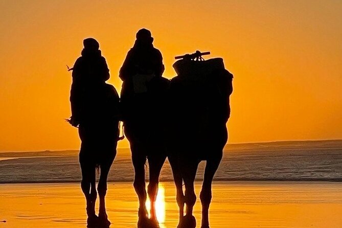 Essaouira 1 hour discovery ride on the back of a camel - Who Should Book This Camel Discovery Ride in Essaouira?