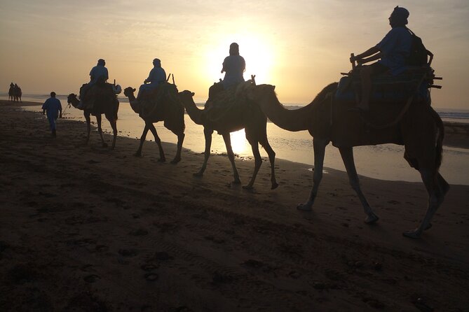 Essaouira: 1 Hour Dromedary + 2 Hours Quad - Quads Plus Dromedary in Essaouira: A Smart Combo for Different Moods