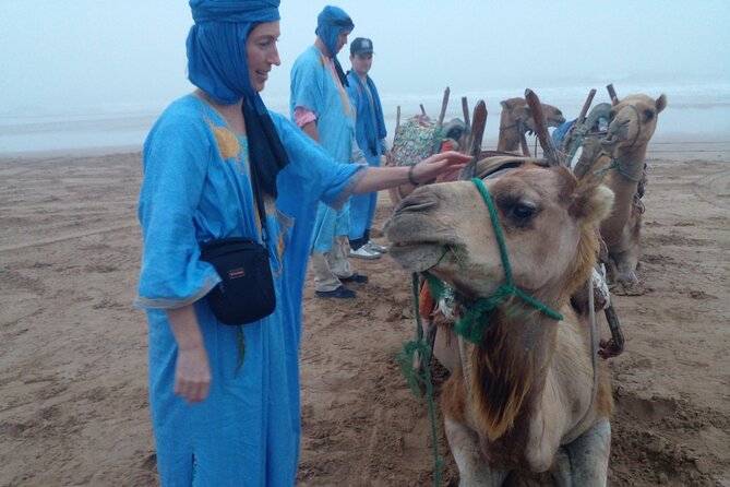 Essaouira: 1 Hour Dromedary + 2 Hours Quad - Sunset in Essaouira: The Moment the Timing is For