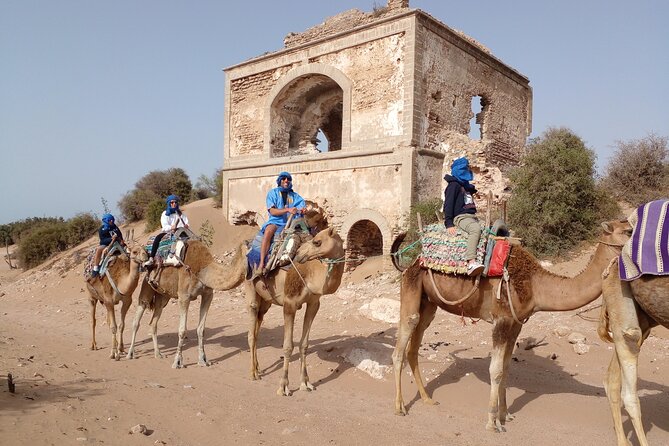 Essaouira: 1 Hour Dromedary + 2 Hours Quad - Price and Value: Is $79.10 Worth It?