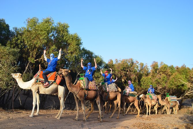 Essaouira 2-Hour Camel Adventure Ride - Key Highlights