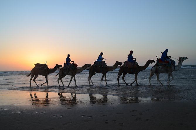 Essaouira 2-Hour Camel Adventure Ride - Entering the Ride: What Actually Happens on These 2 Hours