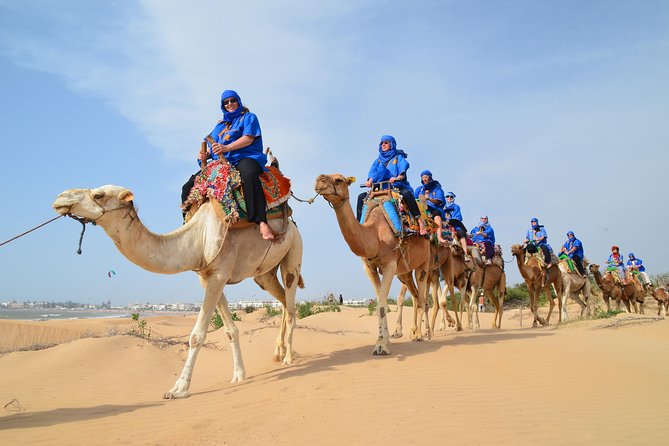 Essaouira 2-Hour Camel Adventure Ride - Beach to Forest-Coast: The Route’s Real Value