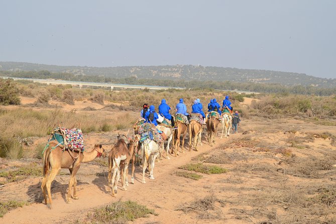 Essaouira 2-Hour Camel Adventure Ride - Mostafa’s Photo Help: How You Get Pictures That Look Real