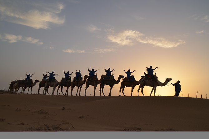Essaouira 2-Hour Camel Adventure Ride - Pickup vs. Meeting Point: Keep Your Plans Simple