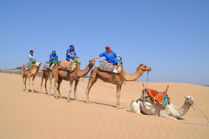 Essaouira 2-Hour Camel Adventure Ride - Bab Marrakech: Your Start Point and Why It’s Convenient