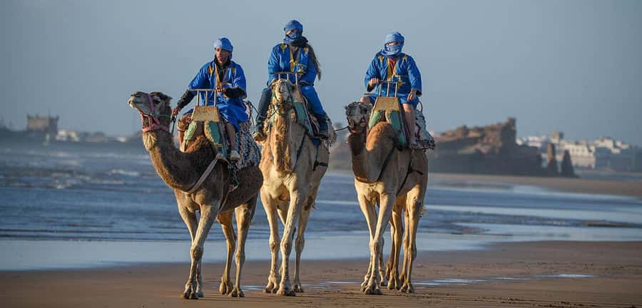 Essaouira: 2-Hour Camel Ride - Hotel Pickup to Camel Stables: Easy Start in Essaouira