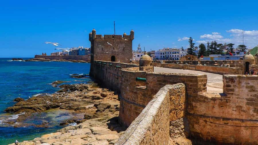 Essaouira: 2-Hour Camel Ride - Photo Help, Guide Conversation, and How the Experience Feels