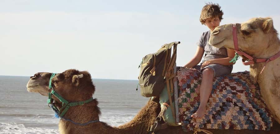 Essaouira: 2-Hour Camel Ride - Price vs. Value: What $47 Actually Buys You