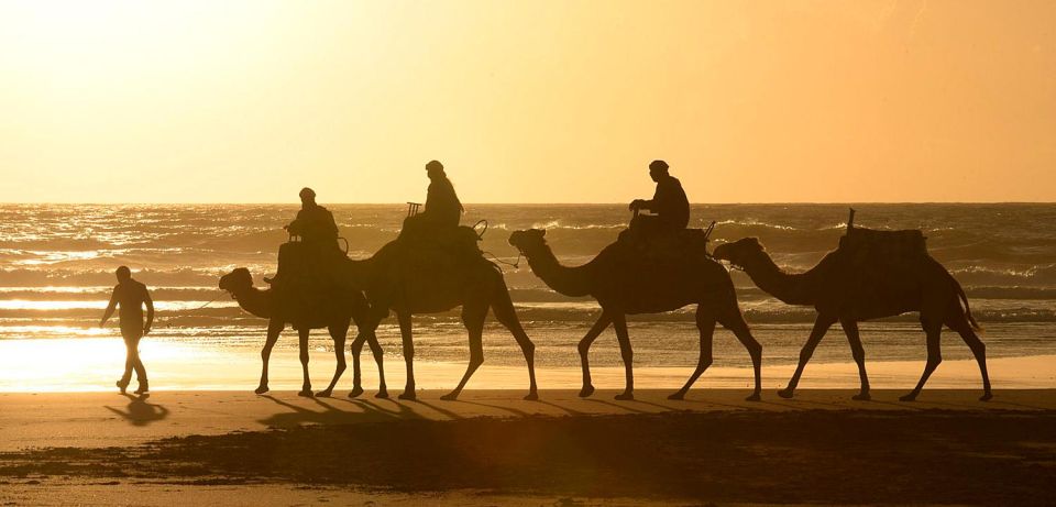 Essaouira: 2-Hour Camel Ride - The One Thing to Double-Check Before You Go
