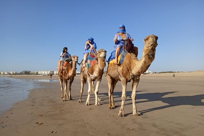 Essaouira: 2H camel/pick up and drop off including - Semi-desert to desert-feeling ground: what you’re riding through