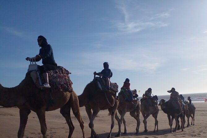 Essaouira: 2H camel/pick up and drop off including - Sunset on the beach: why that moment matters