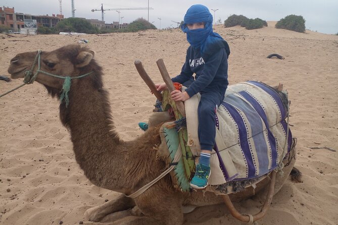 Essaouira: 2H camel/pick up and drop off including - Photos and videos: getting the shot without the hassle