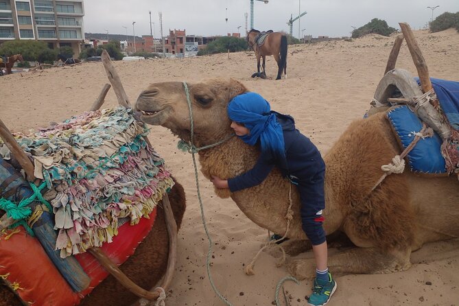 Essaouira: 2H camel/pick up and drop off including - Price and value: what $45.36 per person is buying you